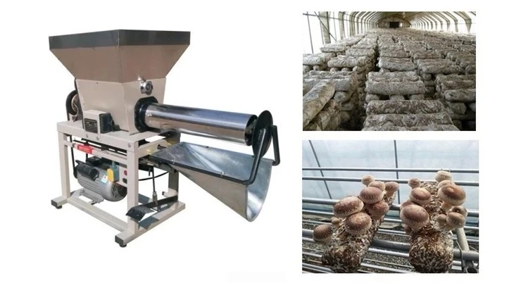 Best Mushroom Bagging Machine